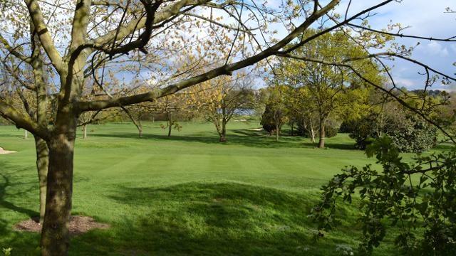 Wimbledon Common