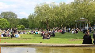 LGBT+ Pride Picnic