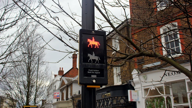 Horse Traffic Light, Wimbledon