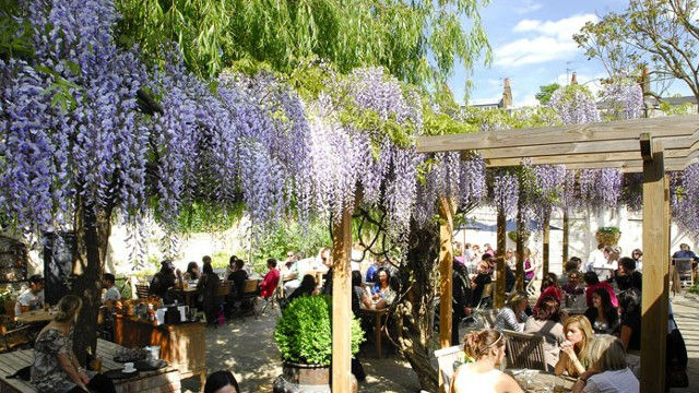 Best beer gardens in London - Pub & Bar - visitlondon.com