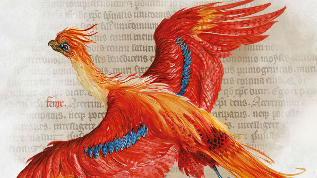Harry Potter by British Library