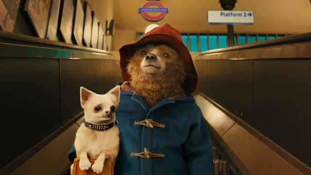 Image result for paddington bear